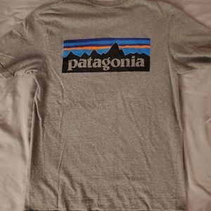 Patagonia Tee